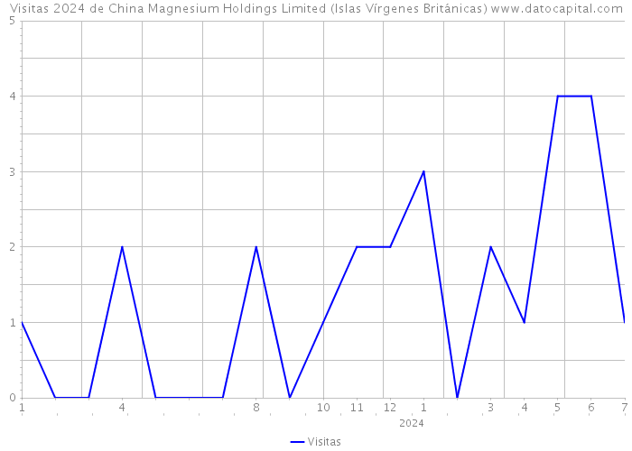 Visitas 2024 de China Magnesium Holdings Limited (Islas Vírgenes Británicas) 