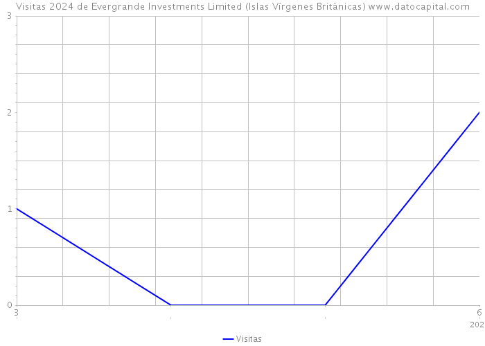 Visitas 2024 de Evergrande Investments Limited (Islas Vírgenes Británicas) 