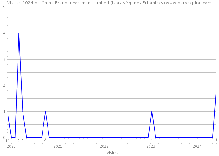 Visitas 2024 de China Brand Investment Limited (Islas Vírgenes Británicas) 
