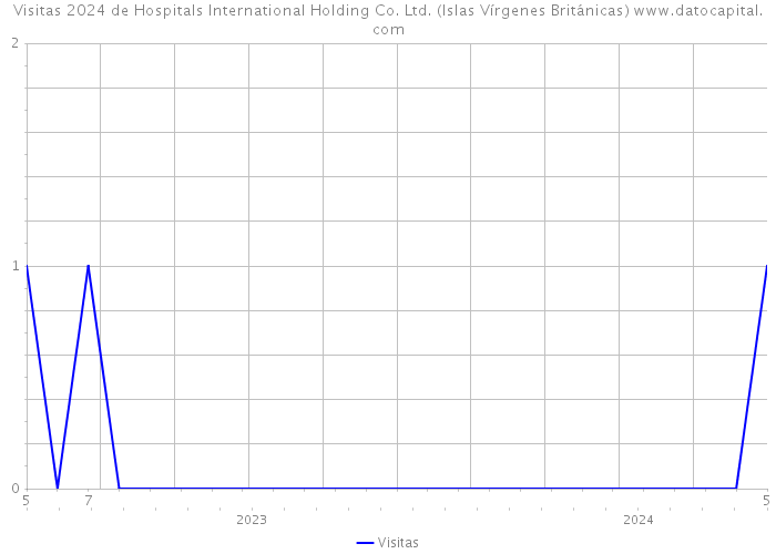 Visitas 2024 de Hospitals International Holding Co. Ltd. (Islas Vírgenes Británicas) 