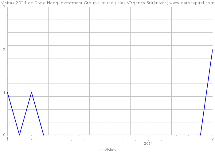 Visitas 2024 de Dong Hong Investment Group Limited (Islas Vírgenes Británicas) 