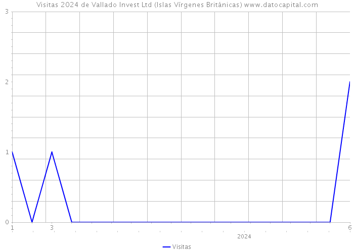 Visitas 2024 de Vallado Invest Ltd (Islas Vírgenes Británicas) 