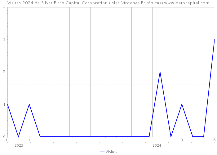 Visitas 2024 de Silver Birch Capital Corporation (Islas Vírgenes Británicas) 