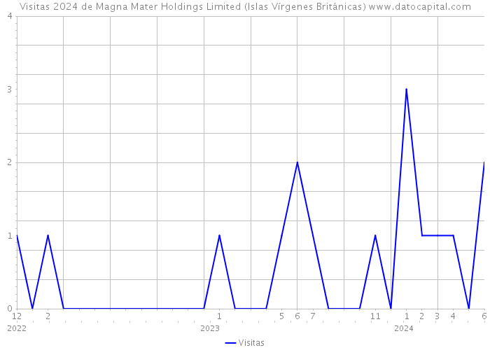 Visitas 2024 de Magna Mater Holdings Limited (Islas Vírgenes Británicas) 
