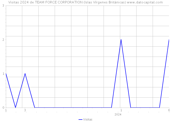 Visitas 2024 de TEAM FORCE CORPORATION (Islas Vírgenes Británicas) 