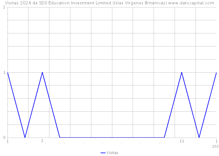 Visitas 2024 de SDS Education Investment Limited (Islas Vírgenes Británicas) 