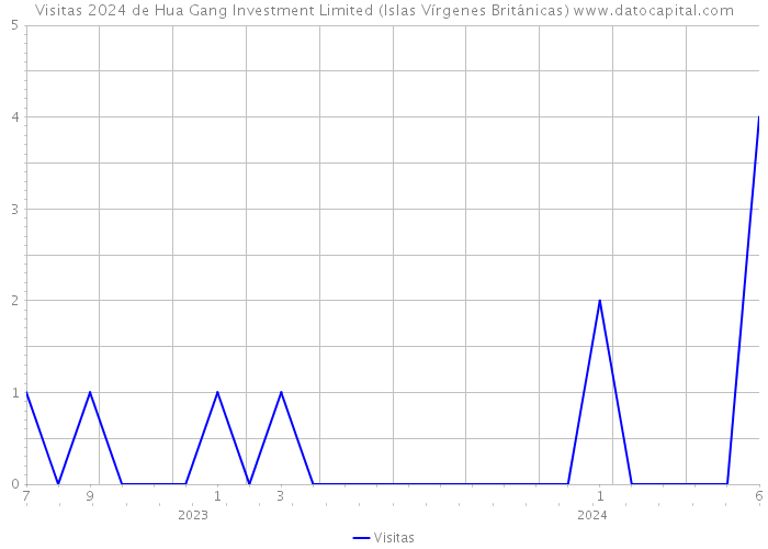Visitas 2024 de Hua Gang Investment Limited (Islas Vírgenes Británicas) 