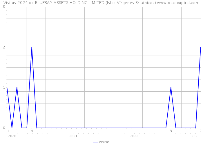 Visitas 2024 de BLUEBAY ASSETS HOLDING LIMITED (Islas Vírgenes Británicas) 
