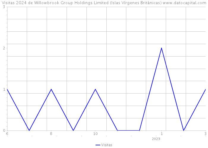 Visitas 2024 de Willowbrook Group Holdings Limited (Islas Vírgenes Británicas) 
