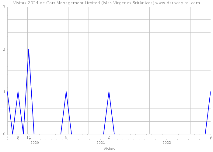 Visitas 2024 de Gort Management Limited (Islas Vírgenes Británicas) 