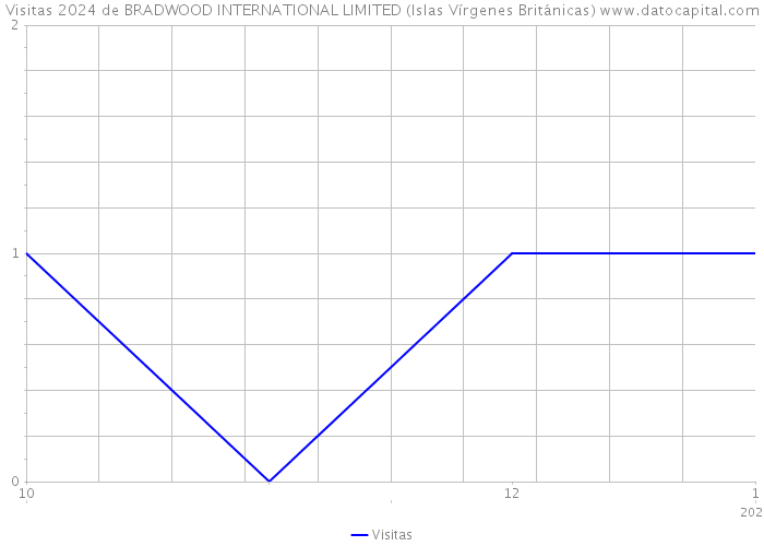 Visitas 2024 de BRADWOOD INTERNATIONAL LIMITED (Islas Vírgenes Británicas) 