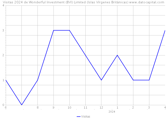 Visitas 2024 de Wonderful Investment (BVI) Limited (Islas Vírgenes Británicas) 