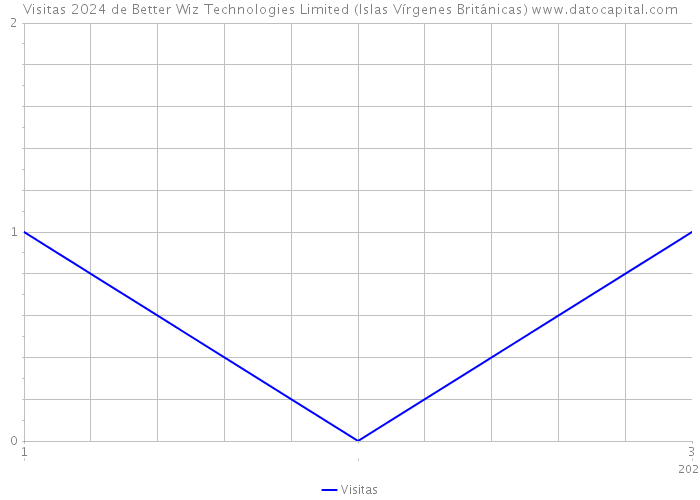 Visitas 2024 de Better Wiz Technologies Limited (Islas Vírgenes Británicas) 