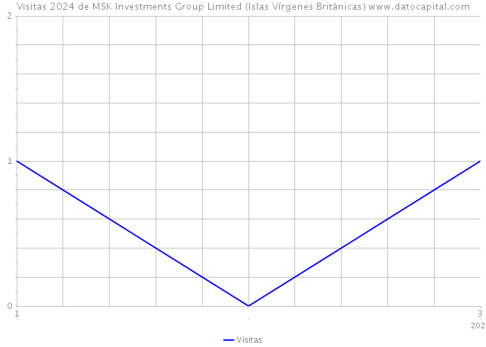 Visitas 2024 de MSK Investments Group Limited (Islas Vírgenes Británicas) 