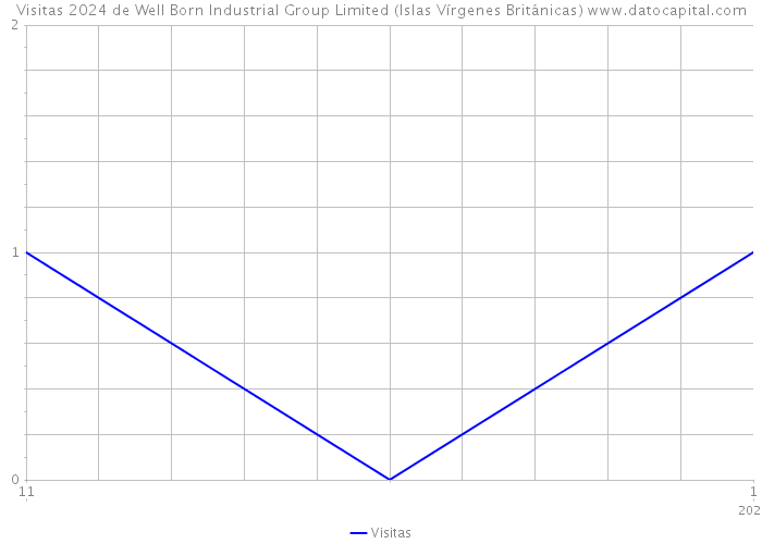 Visitas 2024 de Well Born Industrial Group Limited (Islas Vírgenes Británicas) 