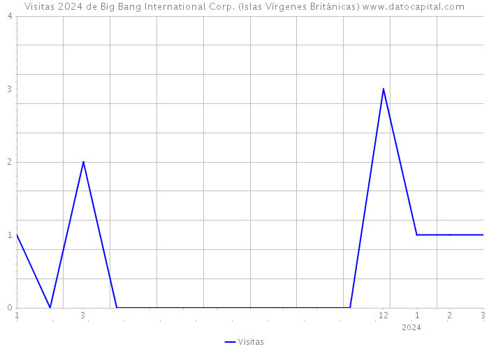 Visitas 2024 de Big Bang International Corp. (Islas Vírgenes Británicas) 