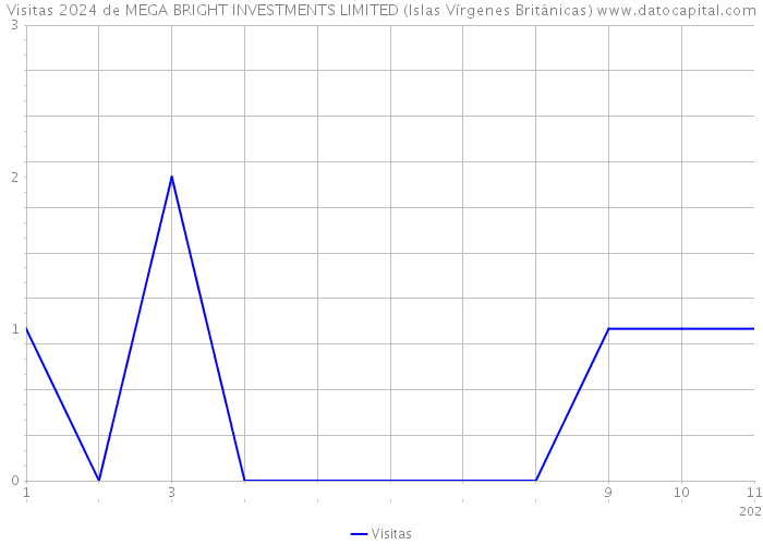 Visitas 2024 de MEGA BRIGHT INVESTMENTS LIMITED (Islas Vírgenes Británicas) 