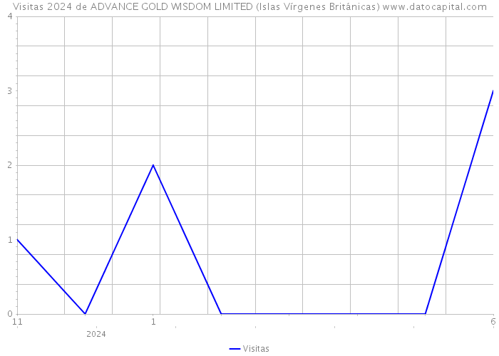 Visitas 2024 de ADVANCE GOLD WISDOM LIMITED (Islas Vírgenes Británicas) 