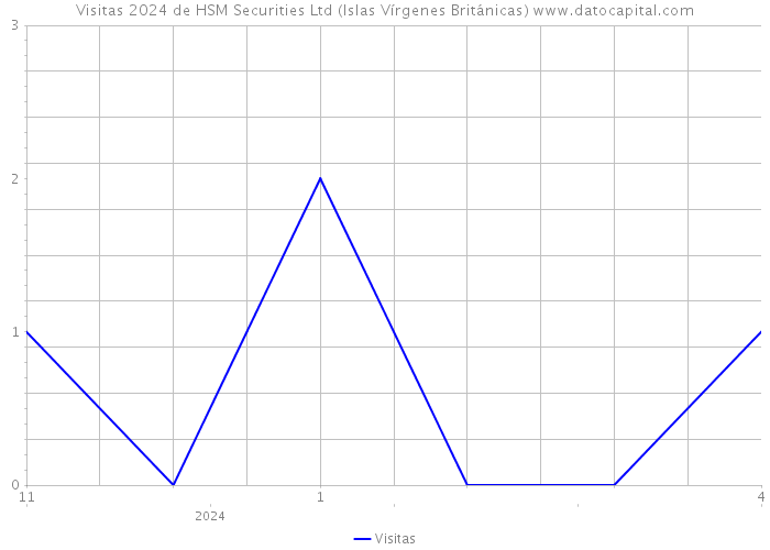 Visitas 2024 de HSM Securities Ltd (Islas Vírgenes Británicas) 
