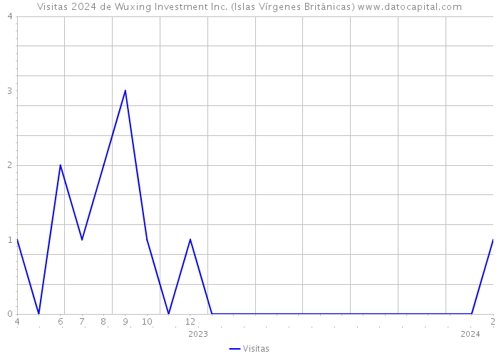 Visitas 2024 de Wuxing Investment Inc. (Islas Vírgenes Británicas) 