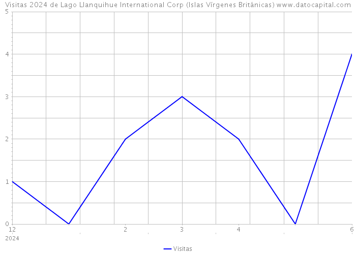 Visitas 2024 de Lago Llanquihue International Corp (Islas Vírgenes Británicas) 