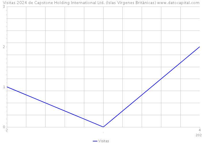 Visitas 2024 de Capstone Holding International Ltd. (Islas Vírgenes Británicas) 