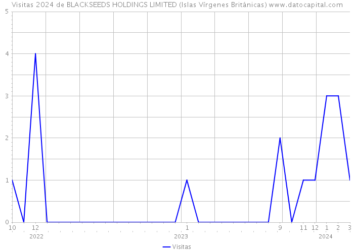 Visitas 2024 de BLACKSEEDS HOLDINGS LIMITED (Islas Vírgenes Británicas) 