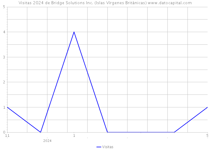 Visitas 2024 de Bridge Solutions Inc. (Islas Vírgenes Británicas) 