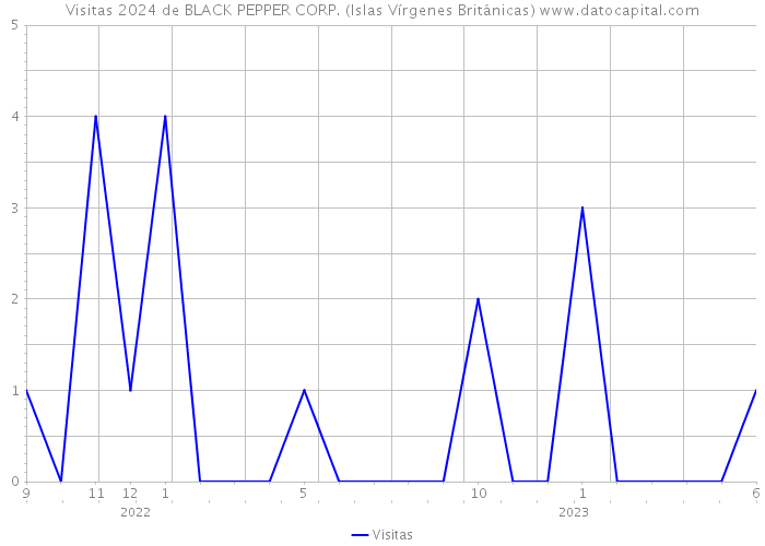 Visitas 2024 de BLACK PEPPER CORP. (Islas Vírgenes Británicas) 