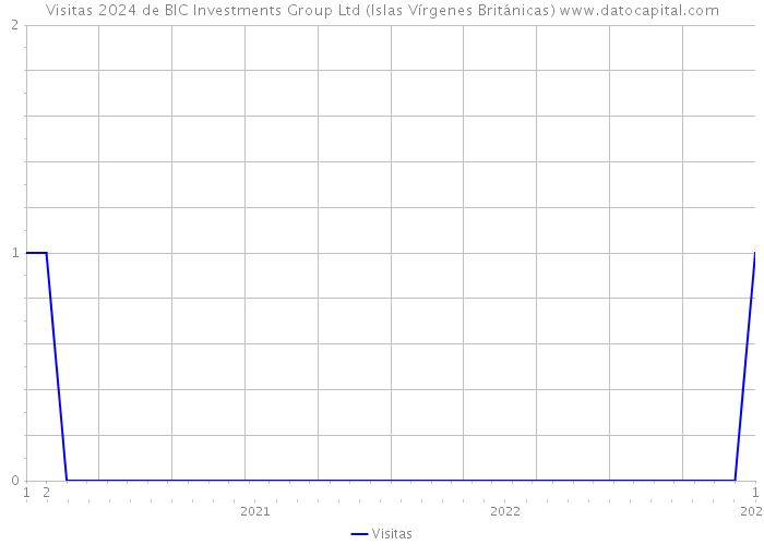 Visitas 2024 de BIC Investments Group Ltd (Islas Vírgenes Británicas) 