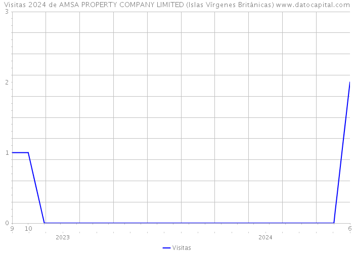 Visitas 2024 de AMSA PROPERTY COMPANY LIMITED (Islas Vírgenes Británicas) 