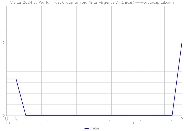 Visitas 2024 de World Invest Group Limited (Islas Vírgenes Británicas) 