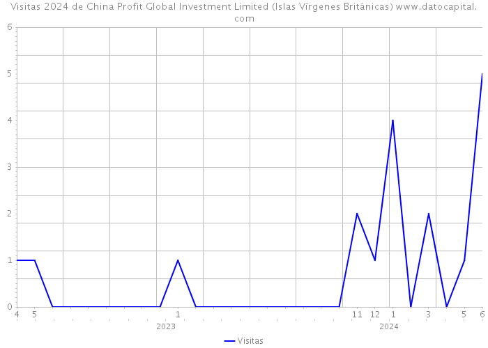 Visitas 2024 de China Profit Global Investment Limited (Islas Vírgenes Británicas) 