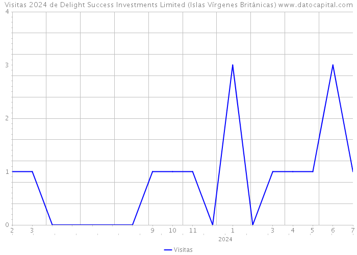 Visitas 2024 de Delight Success Investments Limited (Islas Vírgenes Británicas) 