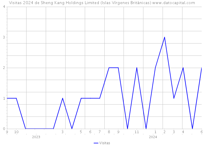 Visitas 2024 de Sheng Kang Holdings Limited (Islas Vírgenes Británicas) 