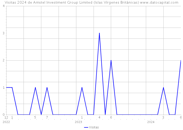 Visitas 2024 de Amstel Investment Group Limited (Islas Vírgenes Británicas) 