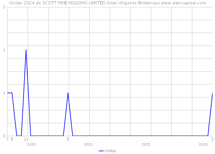 Visitas 2024 de SCOTT PINE HOLDING LIMITED (Islas Vírgenes Británicas) 