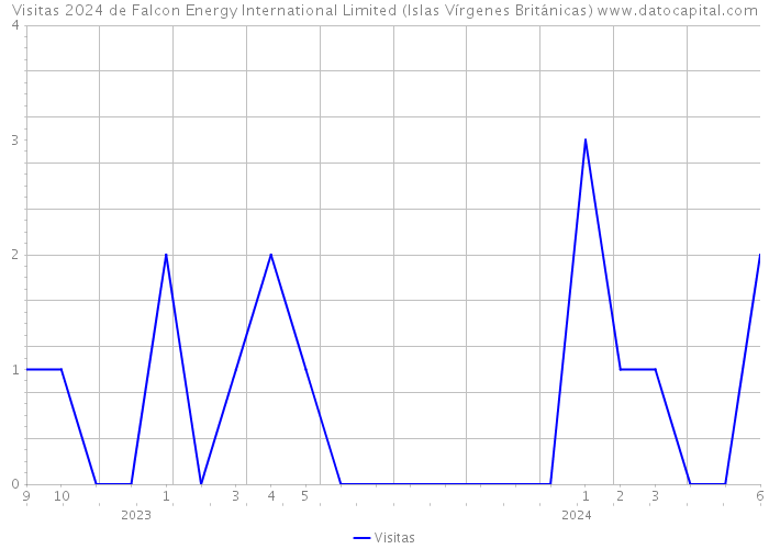 Visitas 2024 de Falcon Energy International Limited (Islas Vírgenes Británicas) 