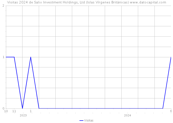 Visitas 2024 de Salix Investment Holdings, Ltd (Islas Vírgenes Británicas) 