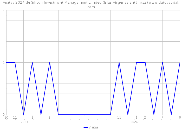 Visitas 2024 de Silicon Investment Management Limited (Islas Vírgenes Británicas) 