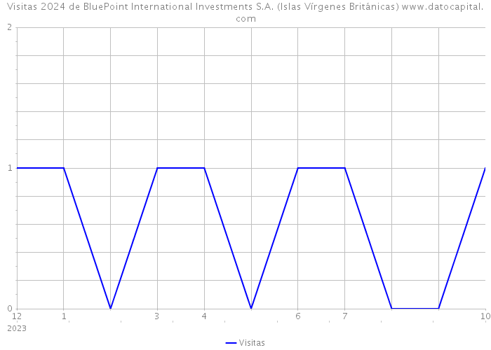 Visitas 2024 de BluePoint International Investments S.A. (Islas Vírgenes Británicas) 