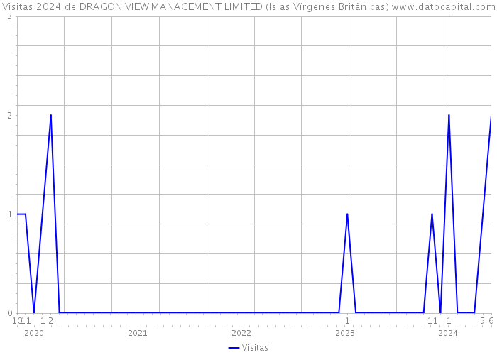 Visitas 2024 de DRAGON VIEW MANAGEMENT LIMITED (Islas Vírgenes Británicas) 