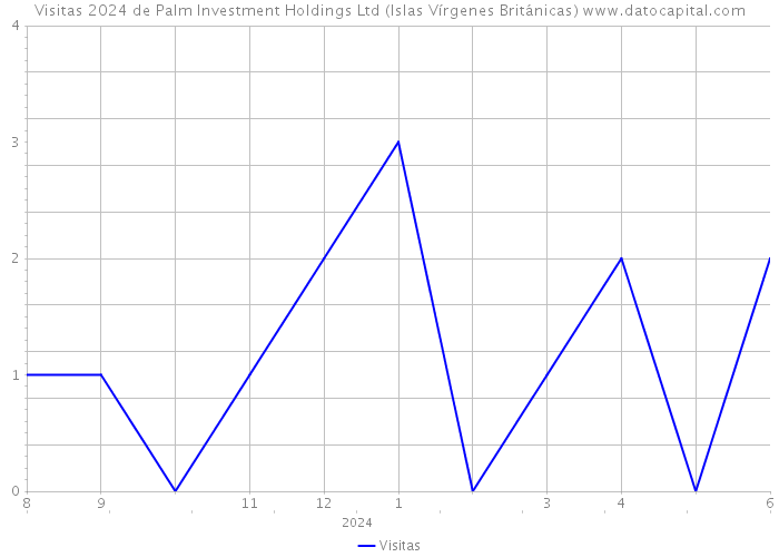 Visitas 2024 de Palm Investment Holdings Ltd (Islas Vírgenes Británicas) 