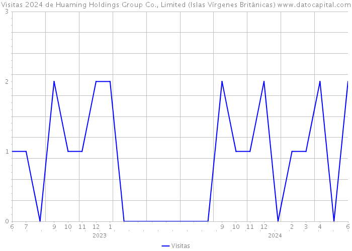 Visitas 2024 de Huaming Holdings Group Co., Limited (Islas Vírgenes Británicas) 