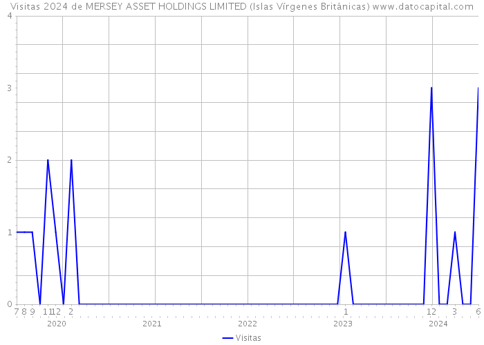 Visitas 2024 de MERSEY ASSET HOLDINGS LIMITED (Islas Vírgenes Británicas) 