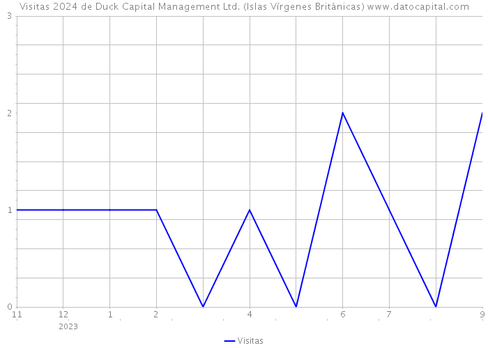 Visitas 2024 de Duck Capital Management Ltd. (Islas Vírgenes Británicas) 