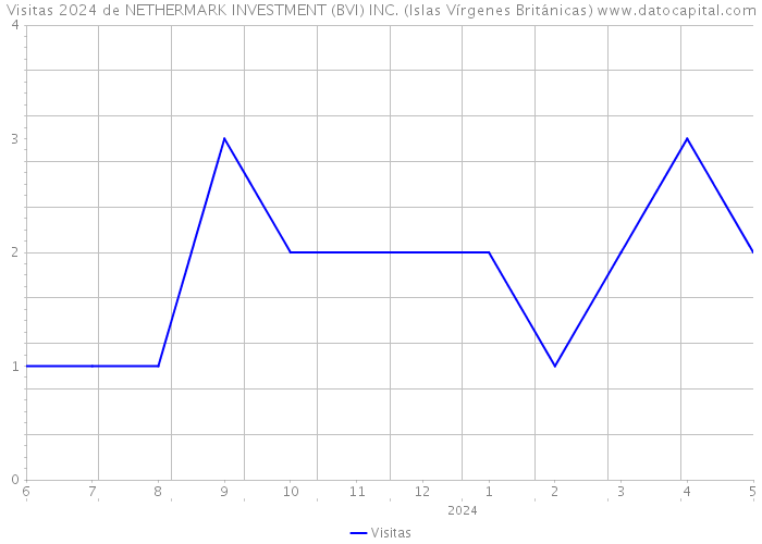 Visitas 2024 de NETHERMARK INVESTMENT (BVI) INC. (Islas Vírgenes Británicas) 