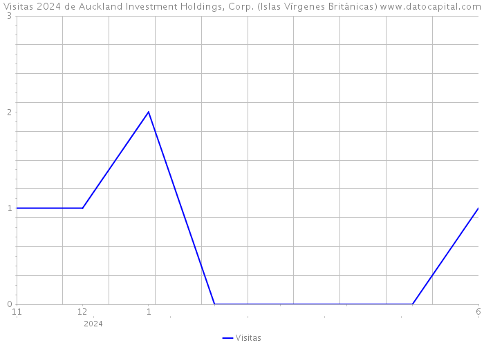 Visitas 2024 de Auckland Investment Holdings, Corp. (Islas Vírgenes Británicas) 