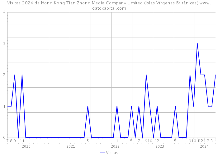 Visitas 2024 de Hong Kong Tian Zhong Media Company Limited (Islas Vírgenes Británicas) 