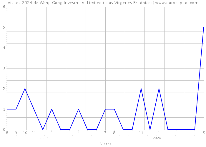 Visitas 2024 de Wang Gang Investment Limited (Islas Vírgenes Británicas) 